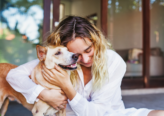 DiabEasy: finally a simple diabetes management method for happy pets, clients and vets