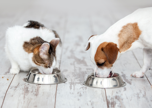 Diabetic cataracts - are they avoidable and what can you do about them?