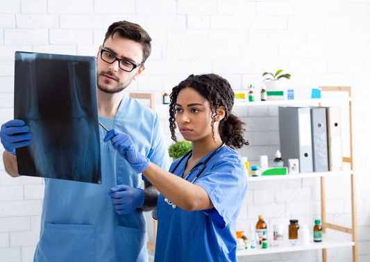 The vet/nurse team: Critical care patients - optimising their care in general practice