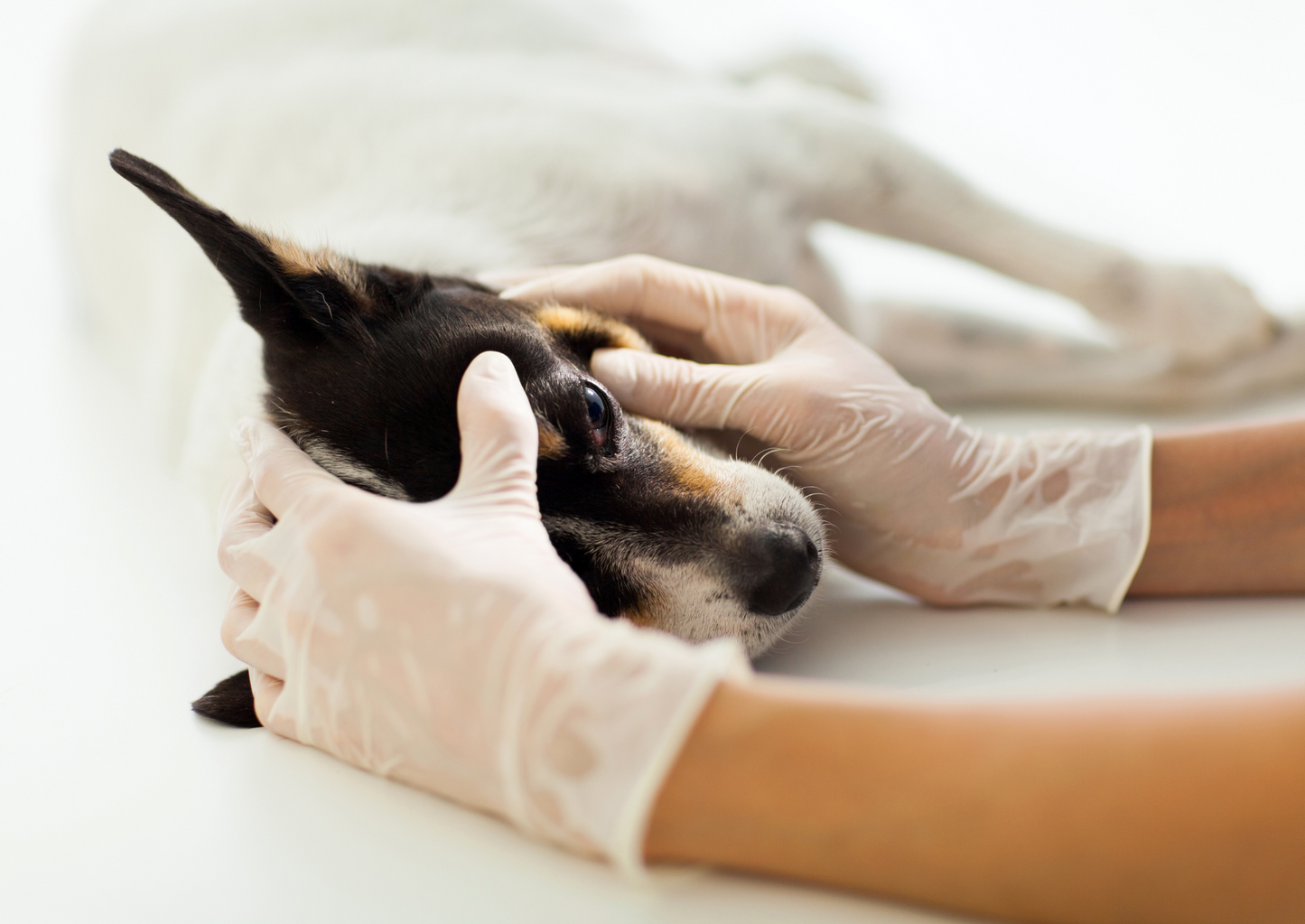 Why not? Common mistakes in ophthalmology and how to avoid them