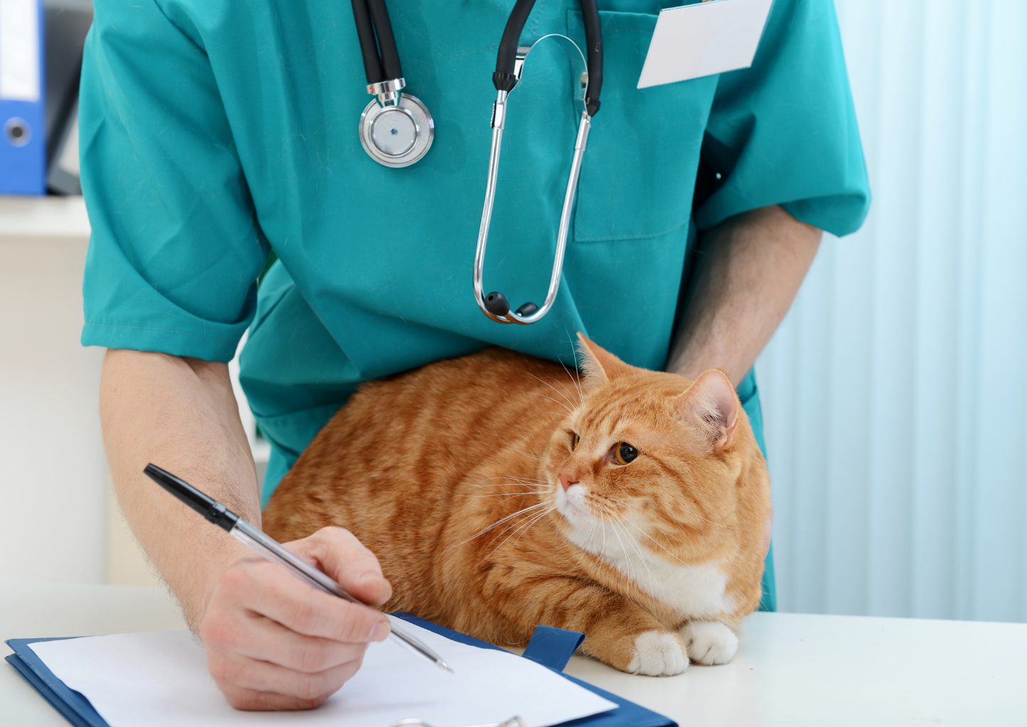 Interpreting the numbers: what do changes in serum calcium, sodium and potassium mean and when should we worry?