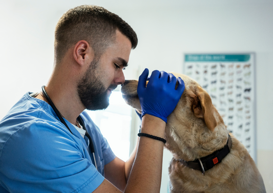 Neurological emergencies in general practice: medical or surgical?