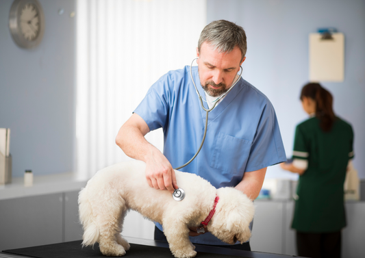 I've heard a murmur - what should I do?