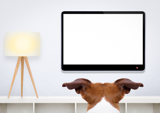 Netflix & Bill: Secrets of subscriptions and recurring revenue