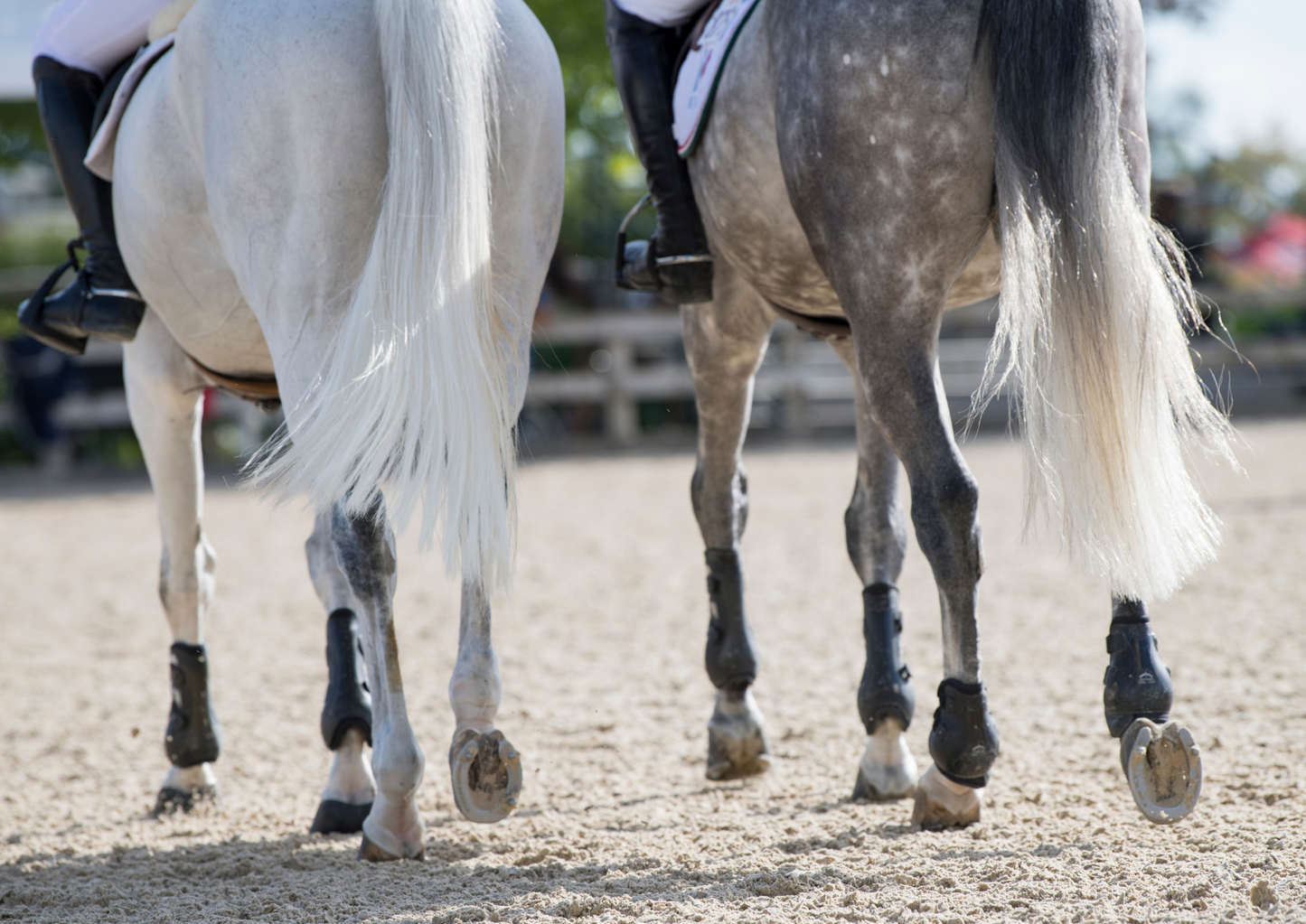 Assessment and action for angular limb deformities