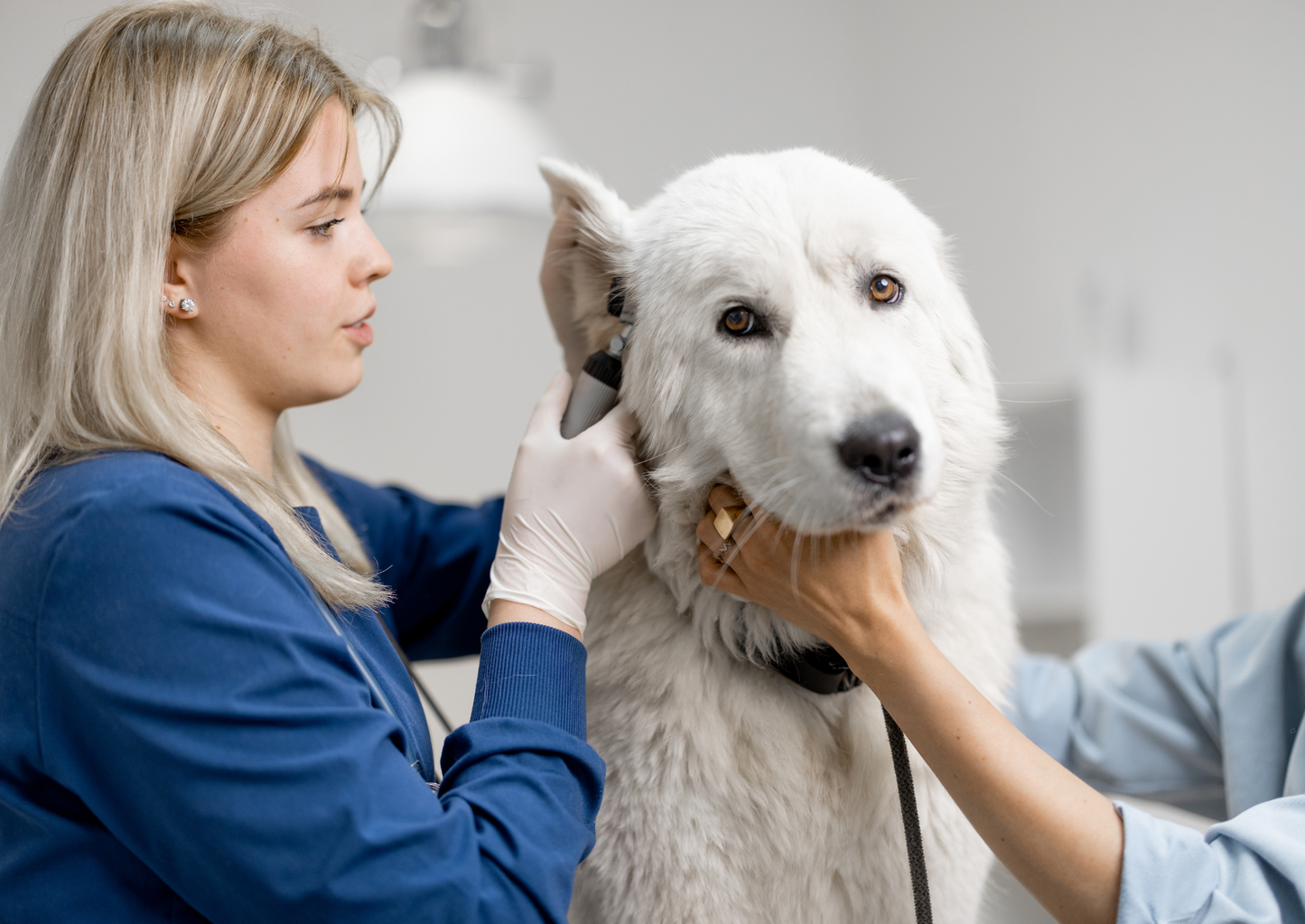 Ear disease