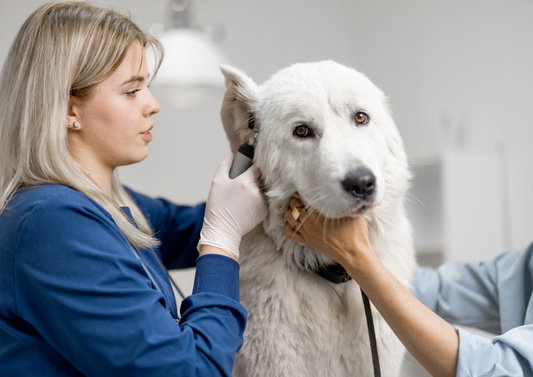 Ear disease