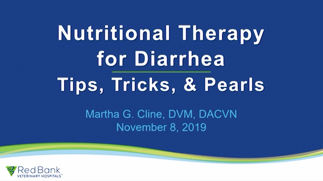Nutritional Therapy for Diarrhea Tips, Tricks, & Pearls Vet Show Academy