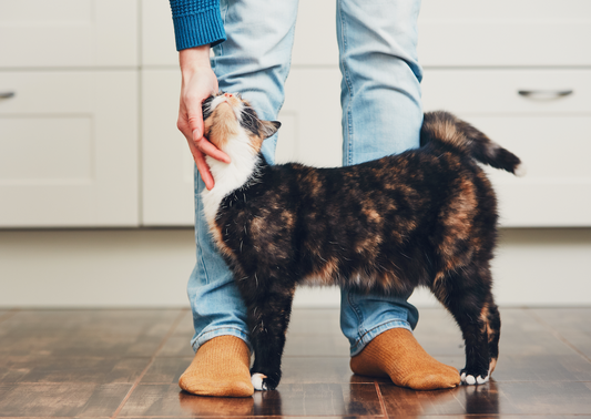 Make Life Easier for Your Clients and Your Practice