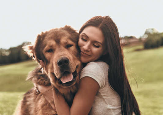 The connected pet owner in 2021