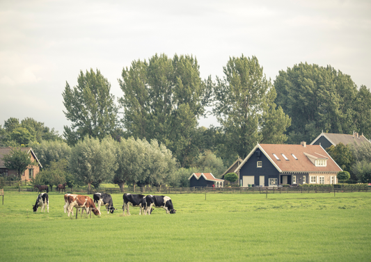 Agriculture beyond Brexit: The Animal Health & Welfare Pathway