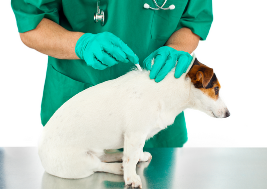 Effective and responsible use of parasiticides