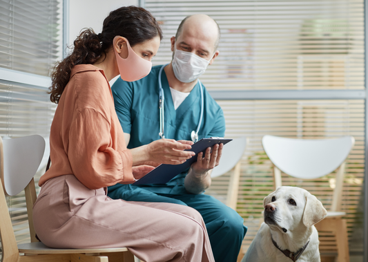 The role of vets in pandemics
