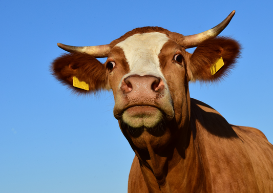 Farm assurance - thinking outside the box