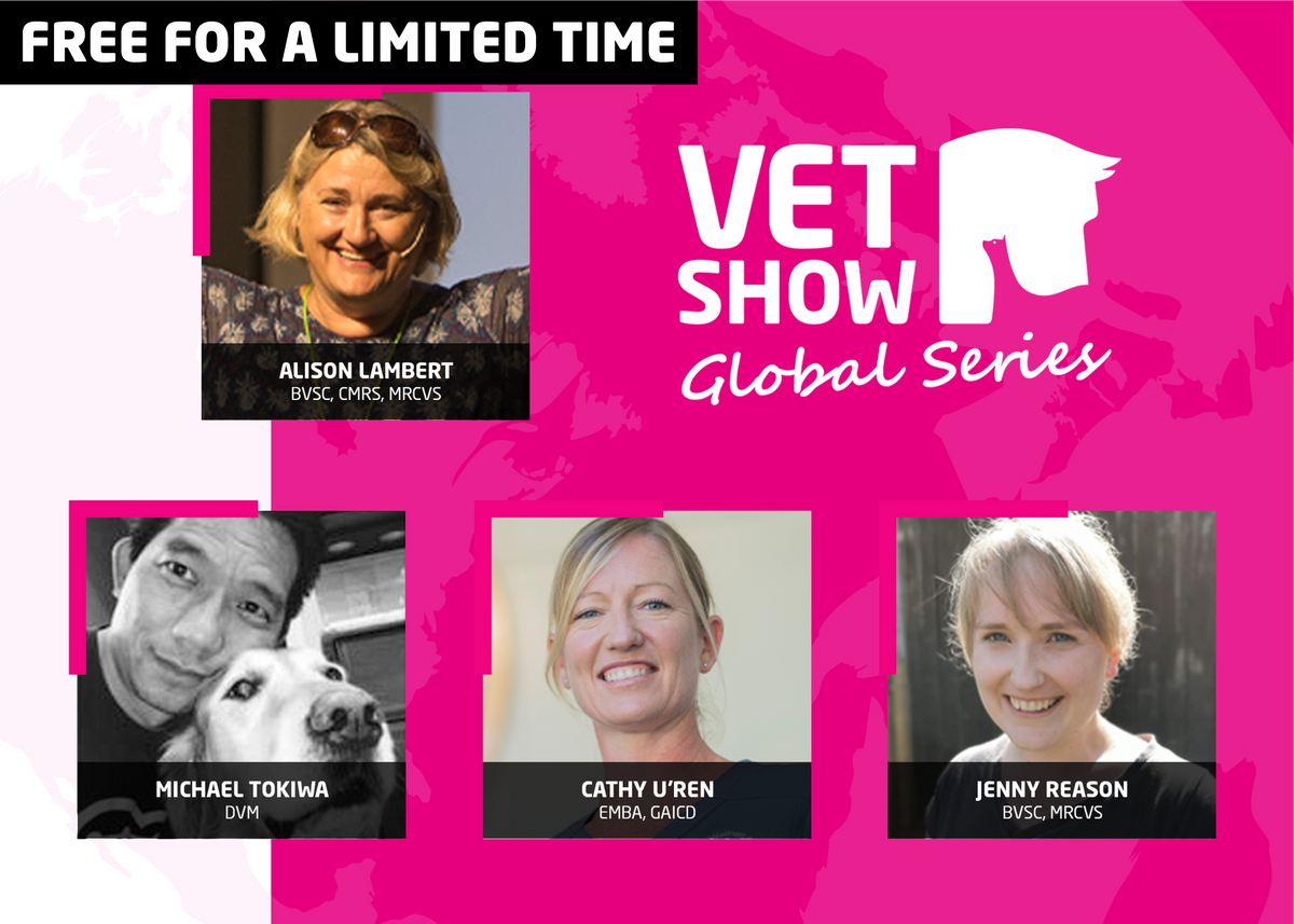 The Vet Profession Unfiltered Vet Show Academy