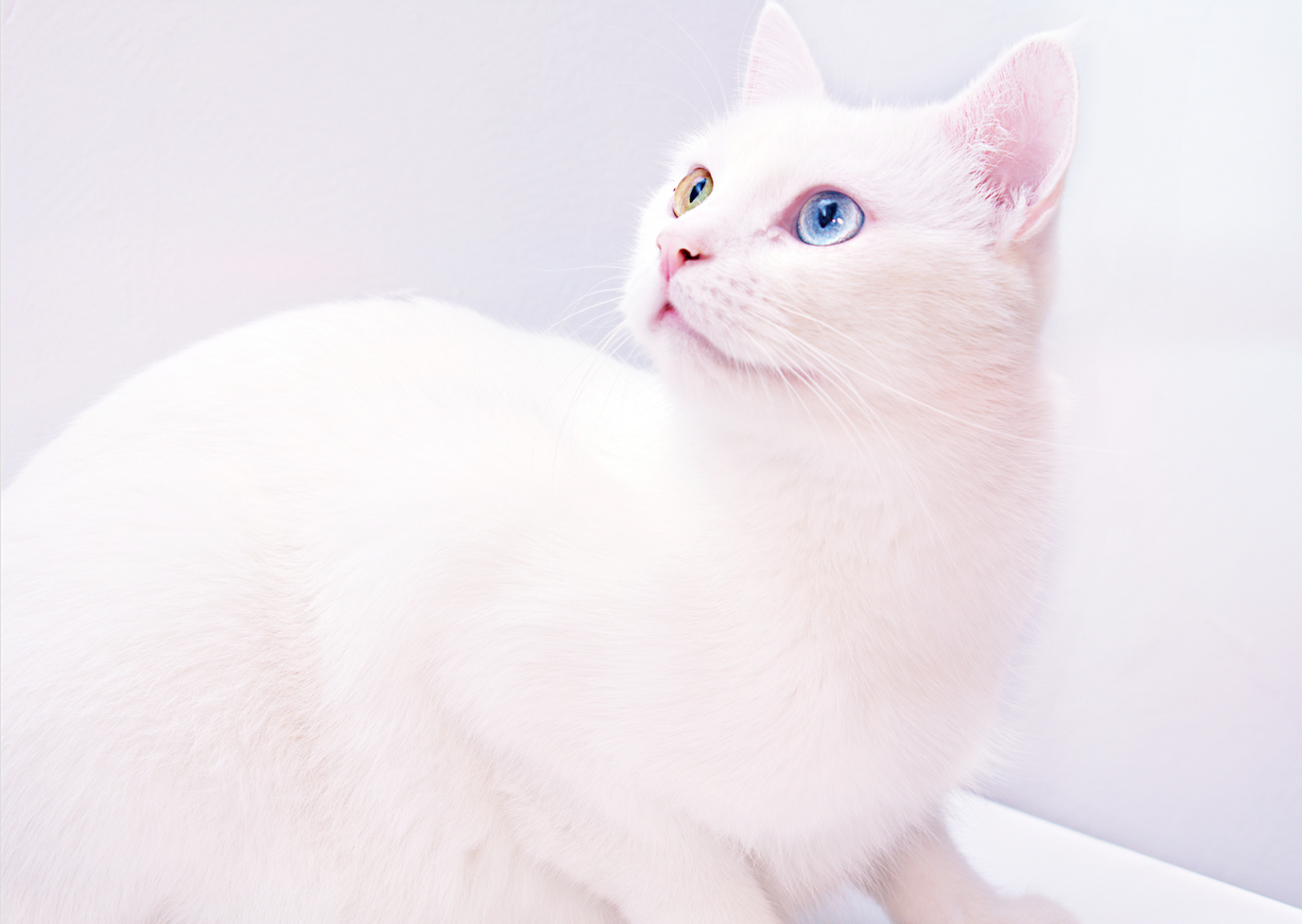 Practice Owners - 10 Reasons Why Your Financial Plan May Not Be Working