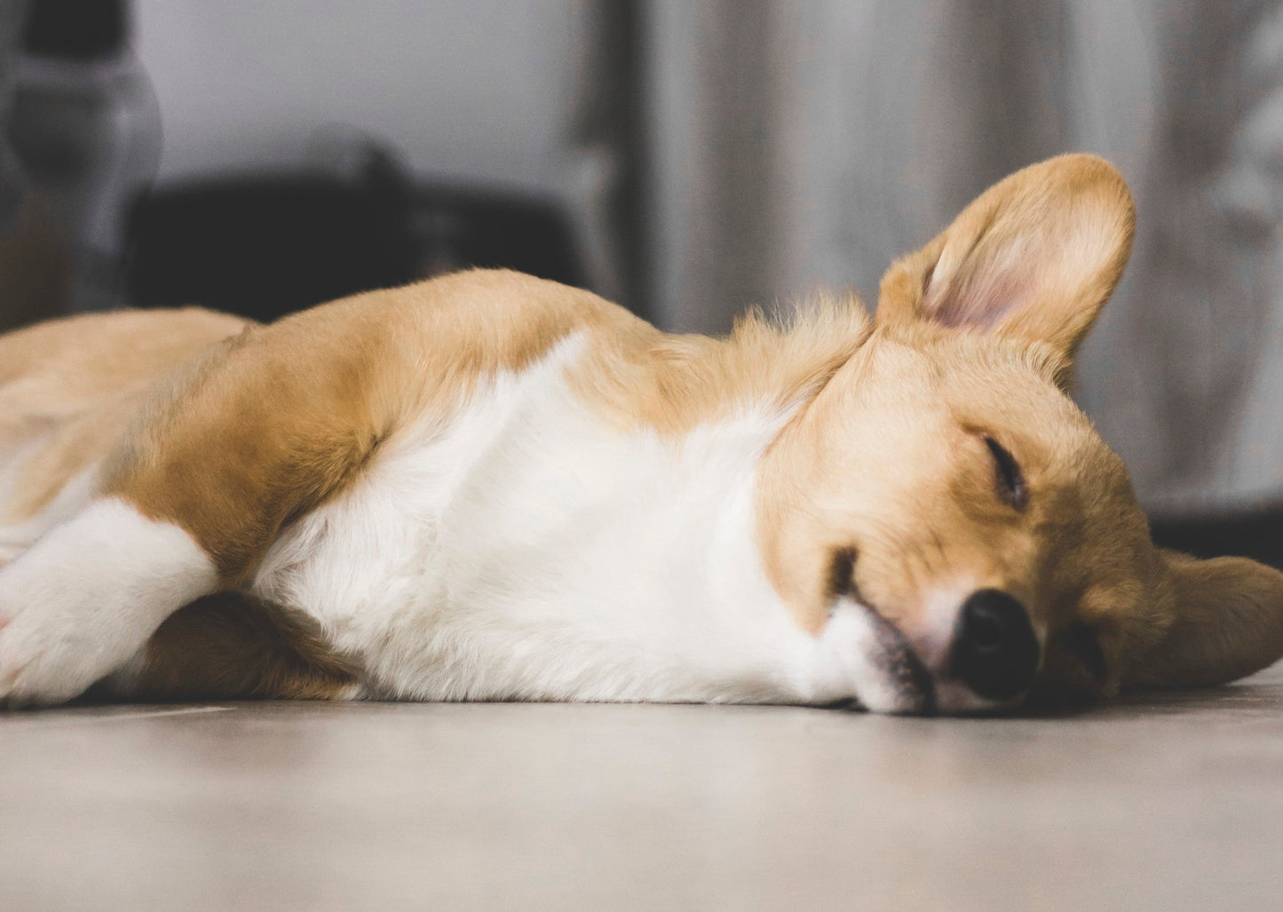 Survival Guide to Inflammatory Nervous System Diseases