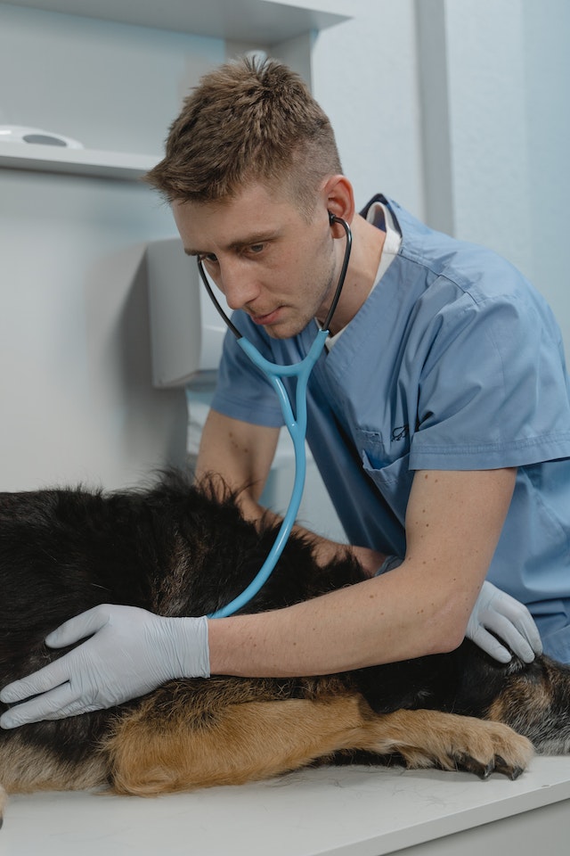 Revolution oder Evolotion in der Behandlung des akuten Abdomens