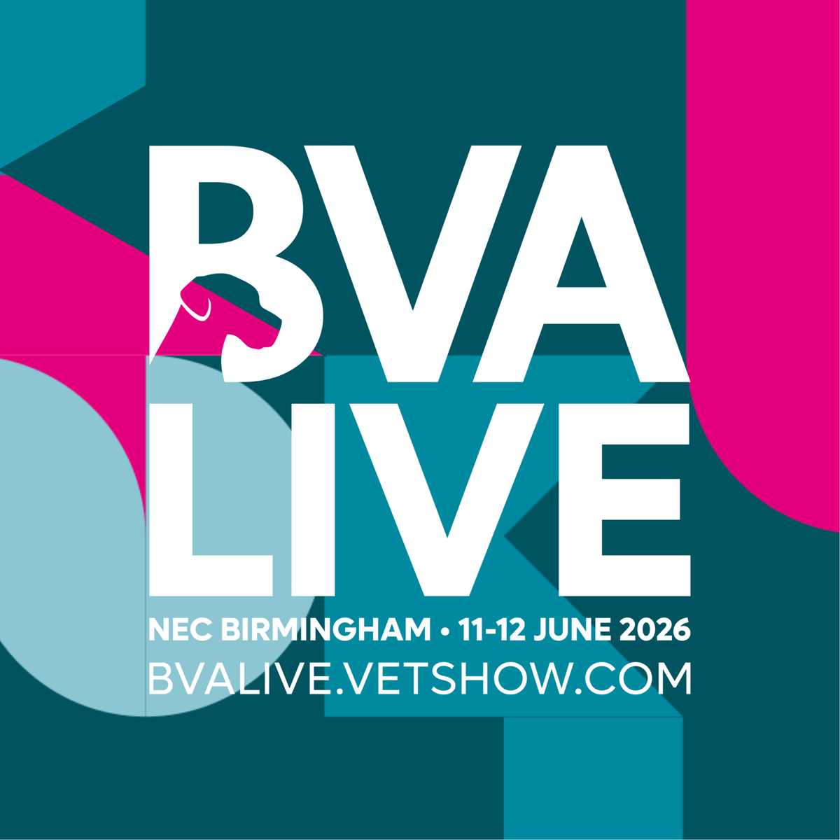 BVA Live 2026