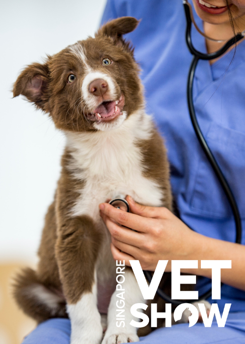 Pain Management in Cancer Patients, a veterinary pain specialist’ perspective: Part 2 (SVS25)