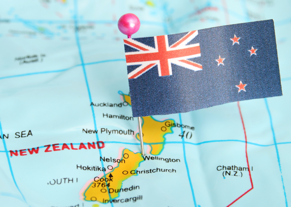 "There and back again" An assimilation of vet skills between New Zealand and the UK