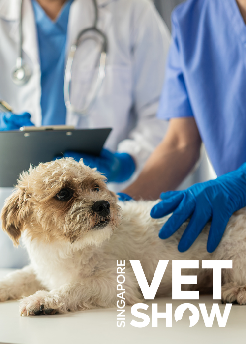Pain Management in Cancer Patients, a veterinary pain specialist’ perspective: Part 1 (SVS25)