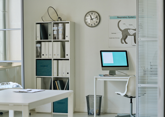 Start S.M.A.R.T.: Intelligent implementation of AI in practice