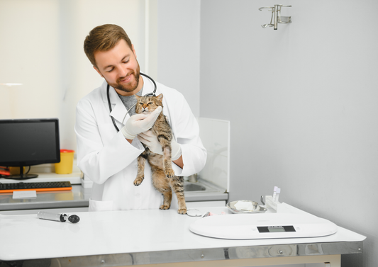 When cats worry: The hidden impact on health