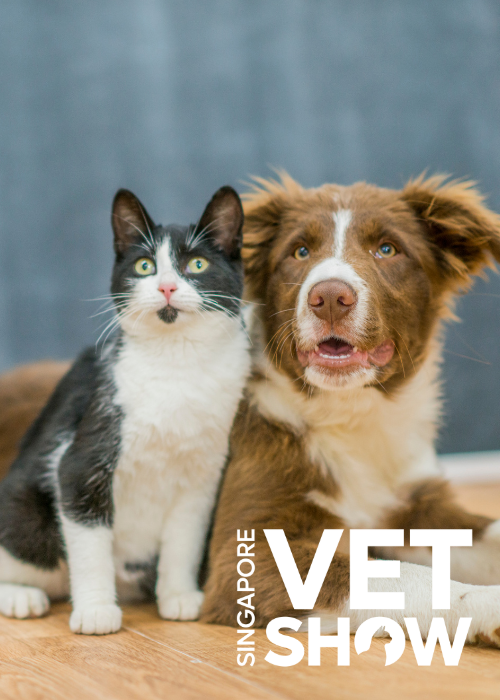 FAST track to diagnostic success - Point-of-care ultrasound in practice (SVS25)