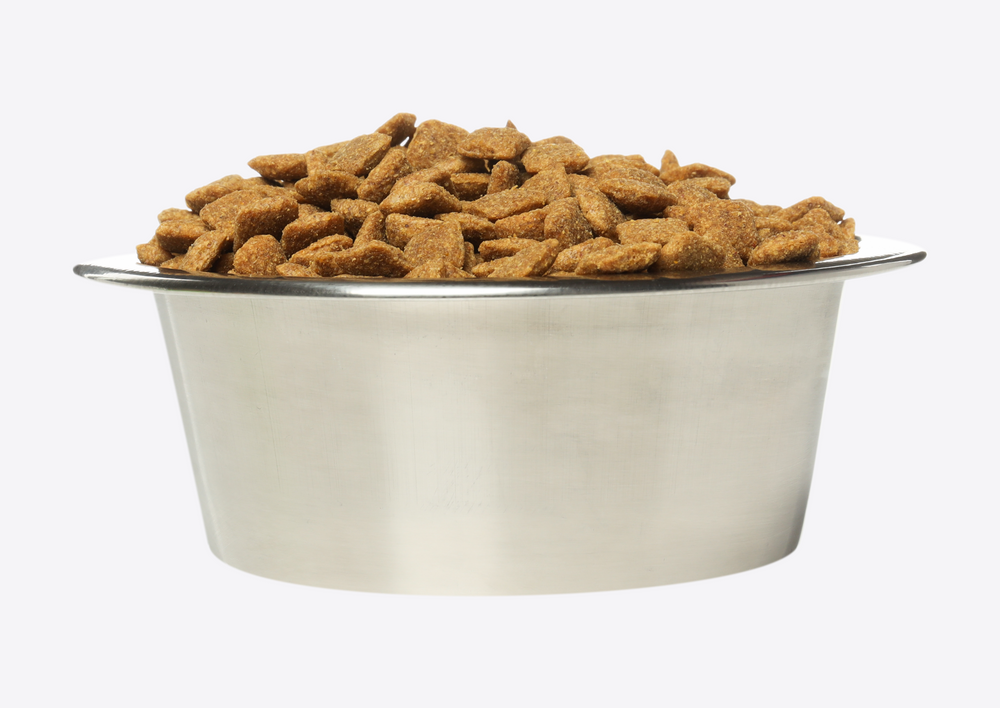 Dealing with the clinical and functional consequences of obesity in dogs and cats