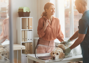 21st century client expectations