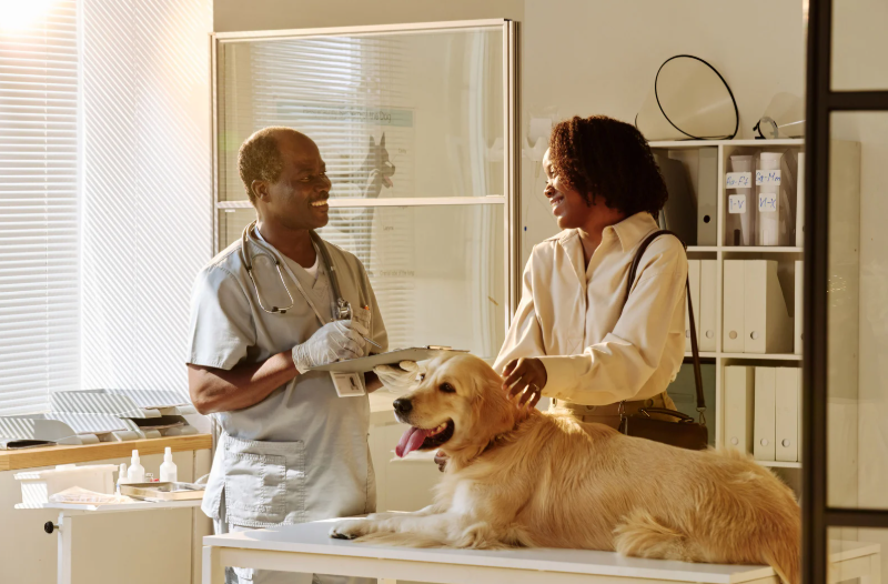 The new client expectation: Meeting the demands of the digital pet parent (LVS25)