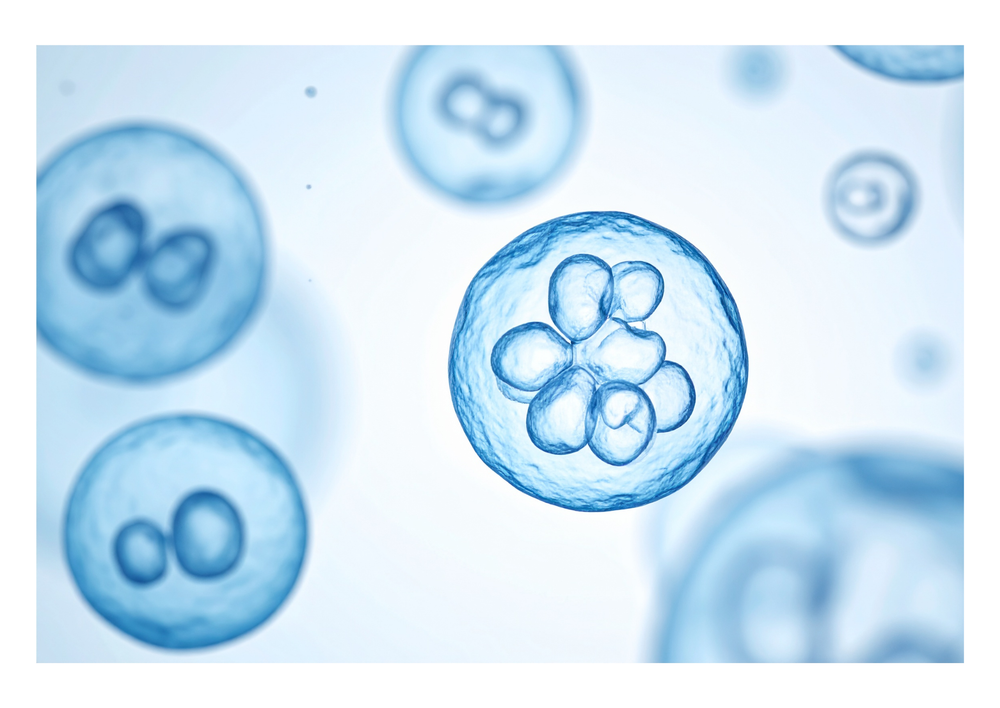 Ear-resistible insights into yeast-only otitis externa (LVS25)