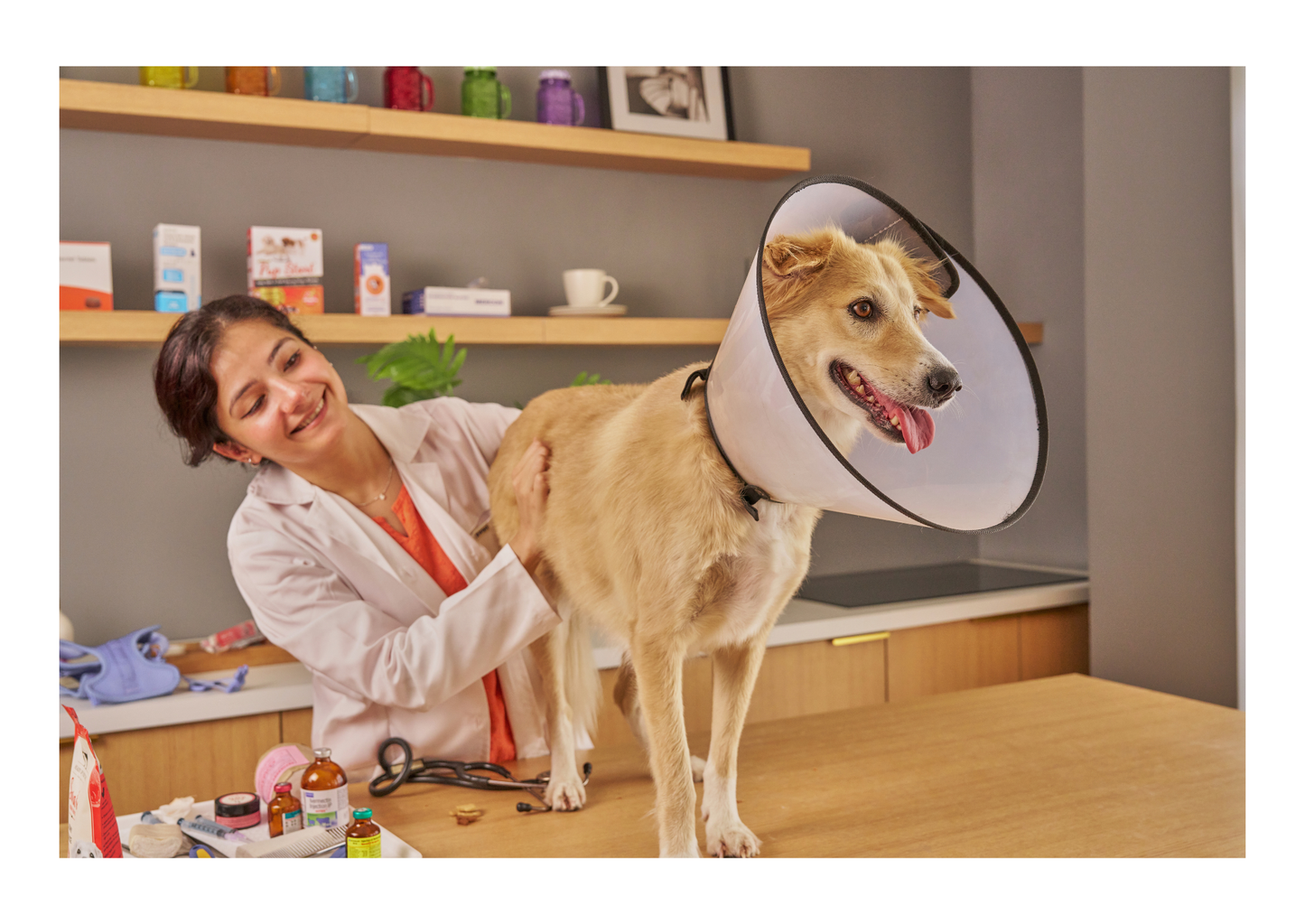 Nutritional supplements in the management of canine obesity (LVS25)