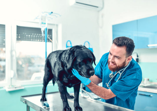 Unusual Endocrine Emergencies - they don’t have to be a crisis (LVS25)