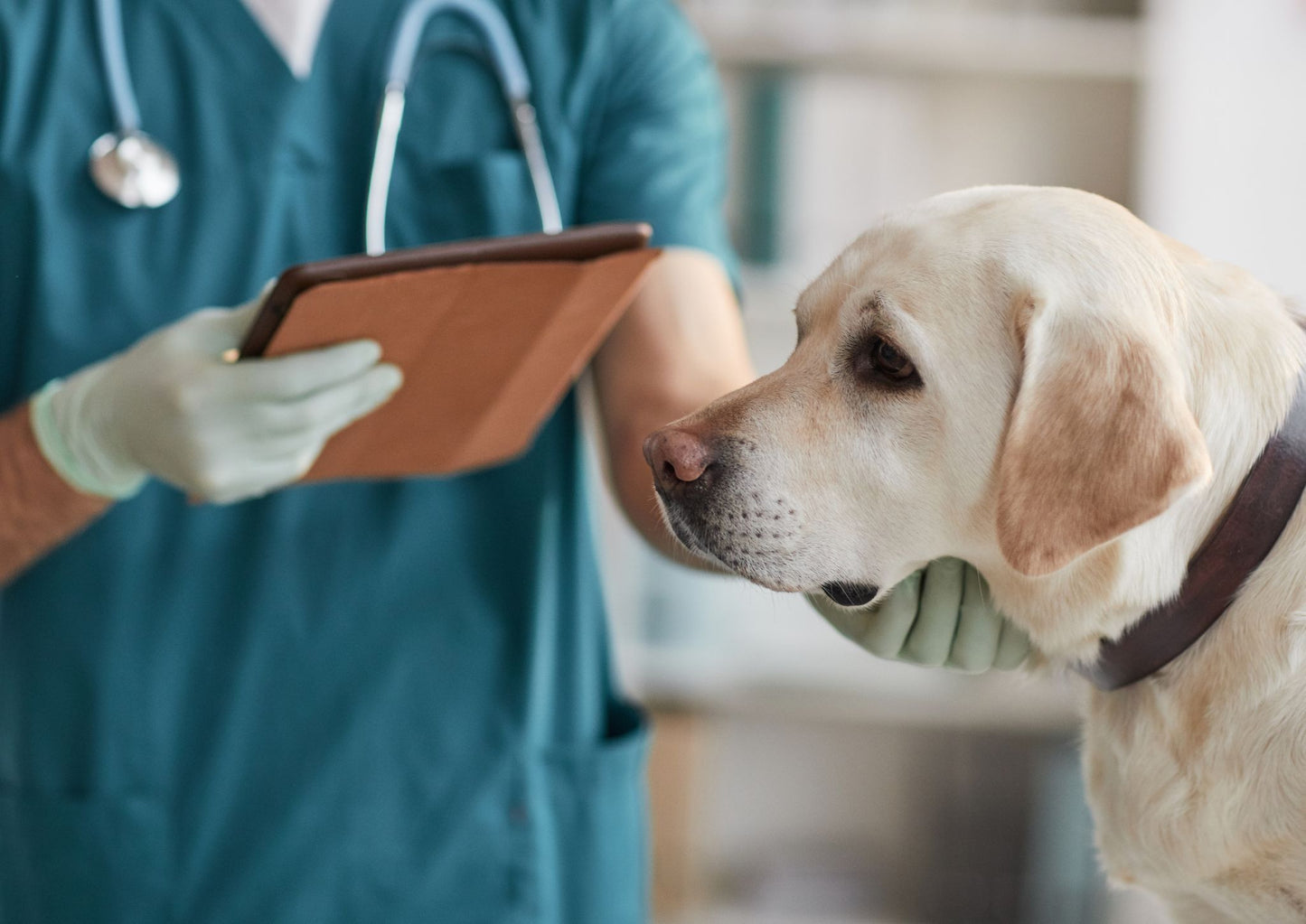 Early cancer diagnosis: Don't miss the warning signs (LVS25)