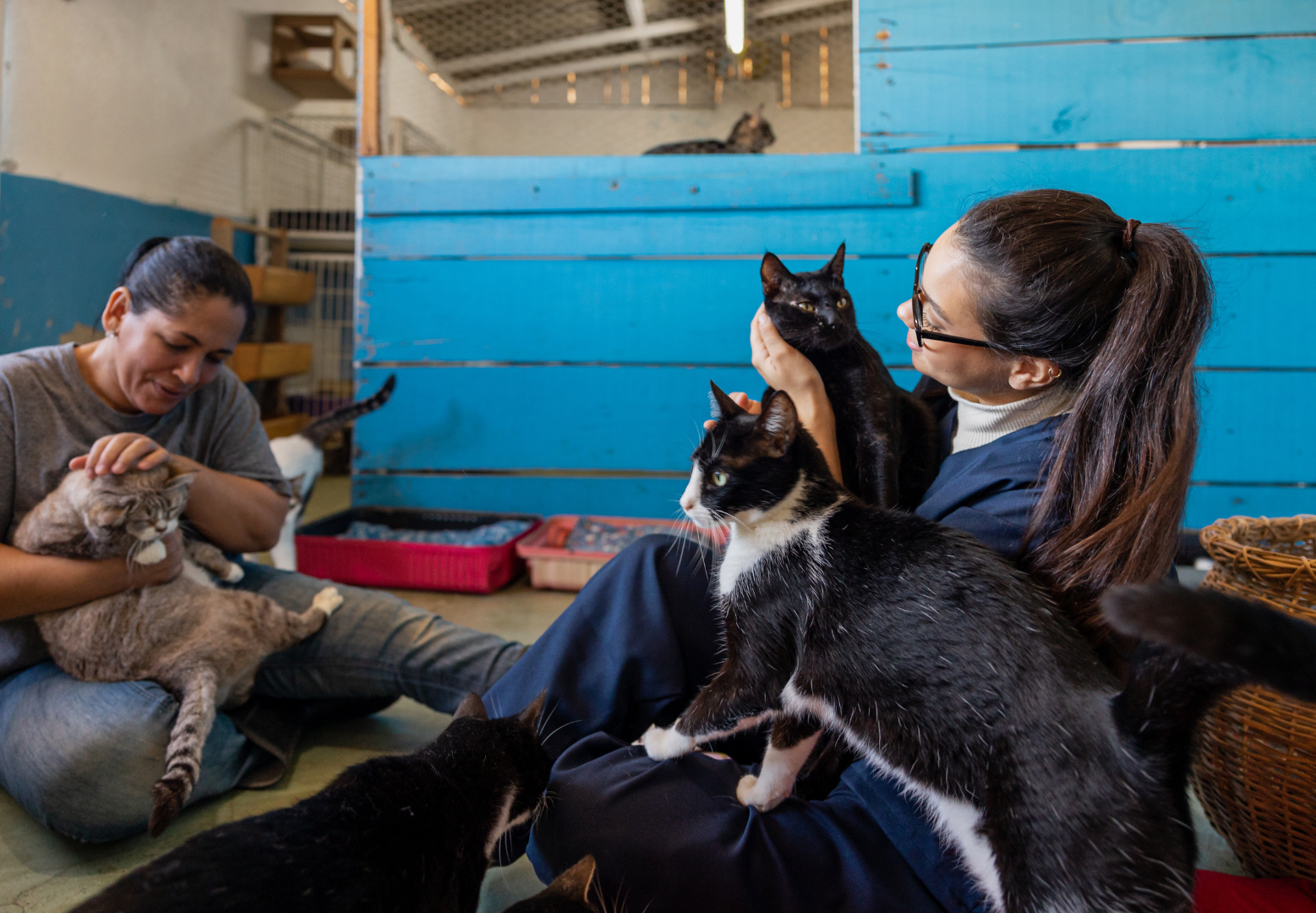 How can charities and practices work together in support of the Human ...