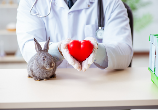 Acute heart failure management
