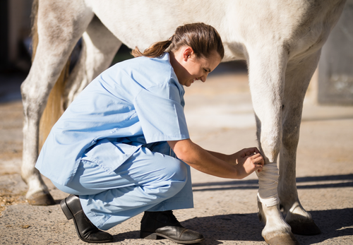 Acute fracture management in the field