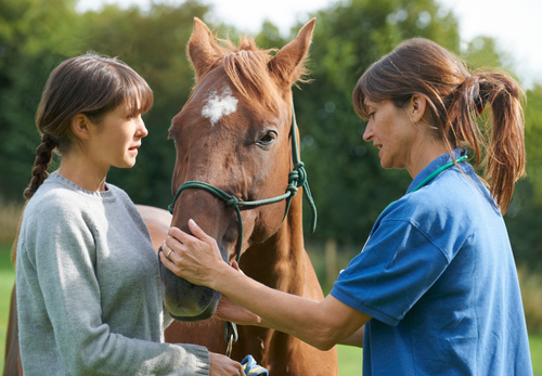 Mastering Independence: The Path to Success as a Locum Veterinary Professional