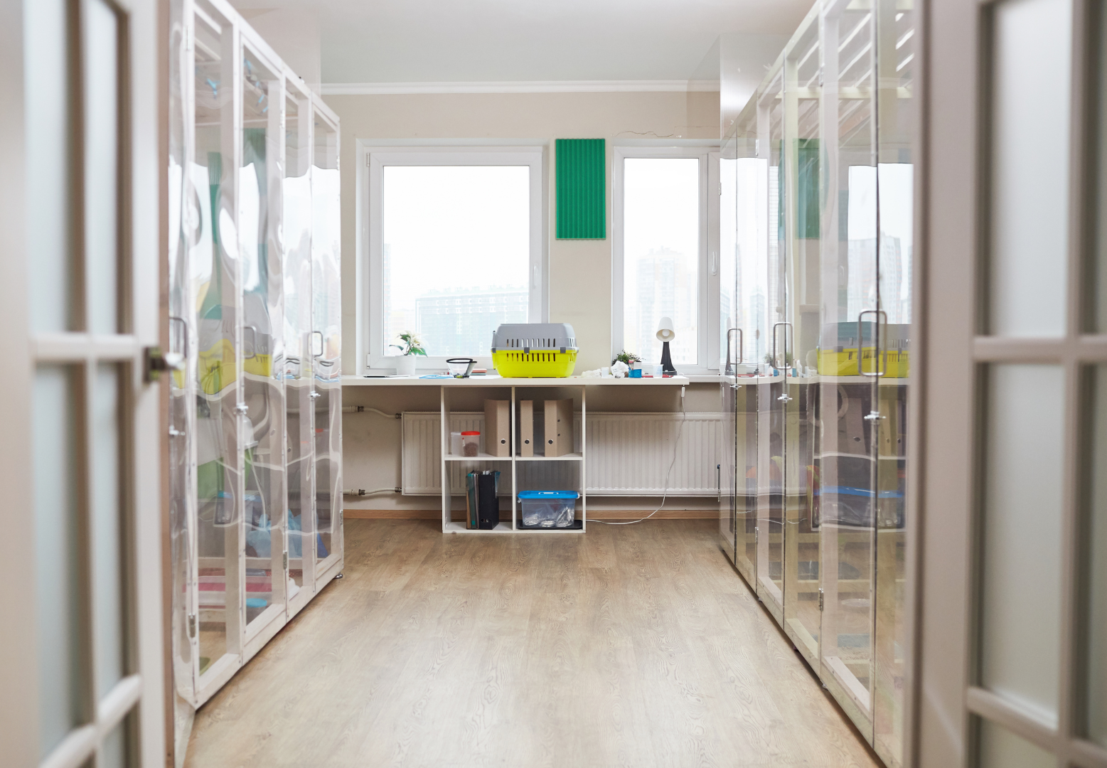 Vet Practice Design and Building Management: Concept to Completion ...