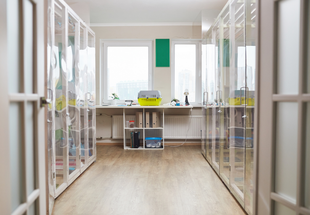 Vet Practice Design and Building Management: Concept to Completion