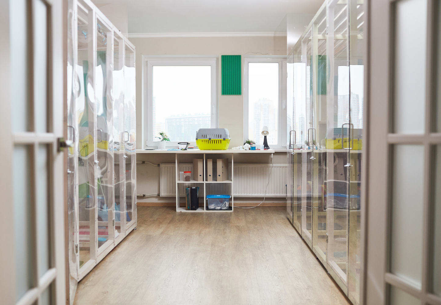 Vet Practice Design and Building Management: Concept to Completion