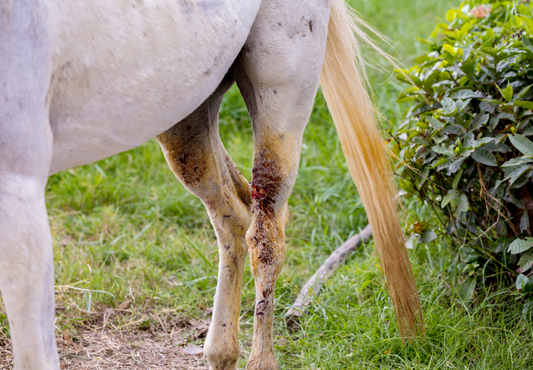 Strategies to deal with non healing wounds