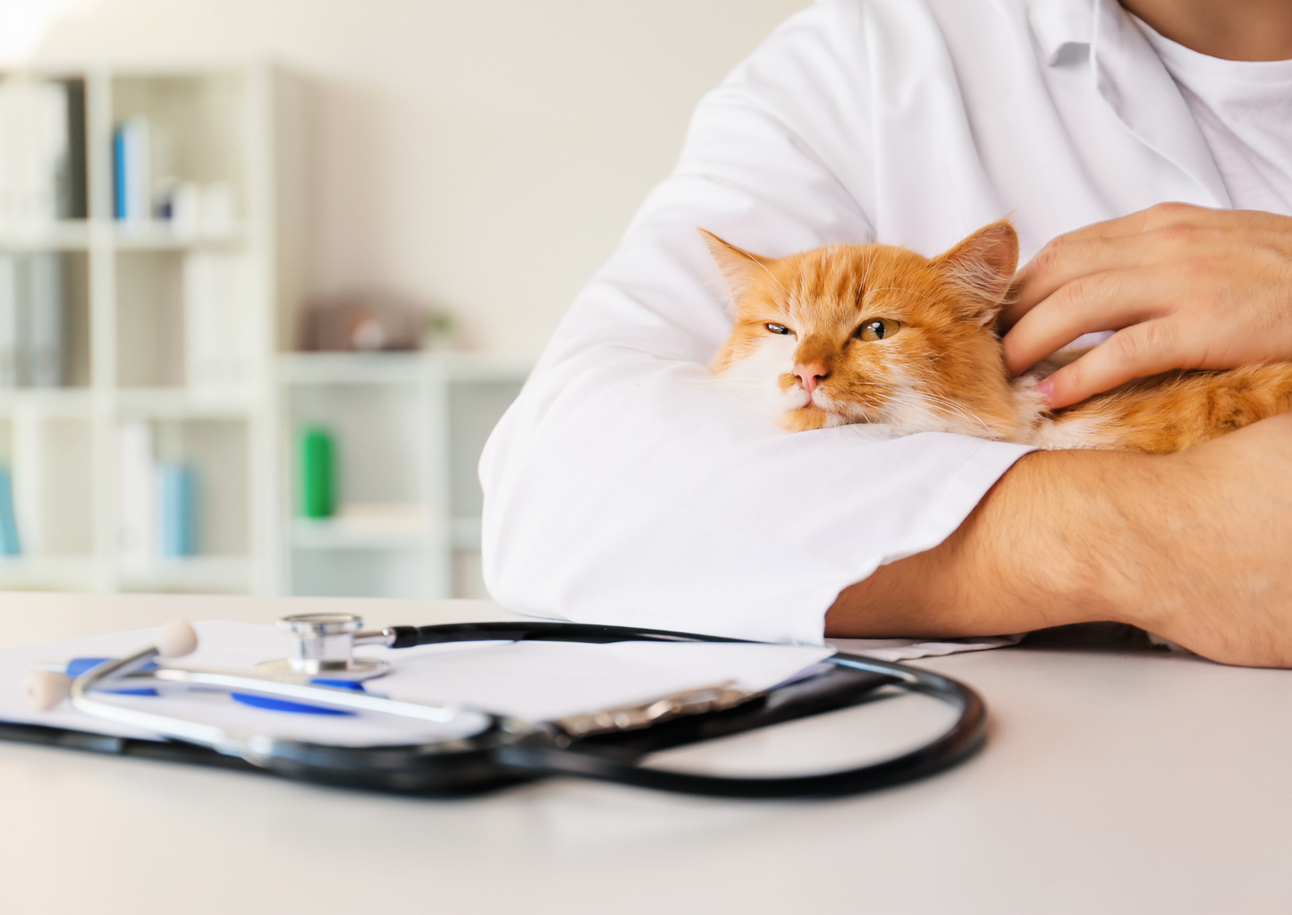 Veterinary Client Mediation Service - current insights, are all complaints about costs?