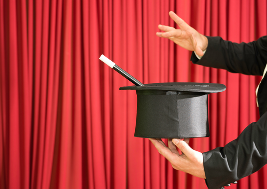 A new Veterinary Surgeons Act? Experience this unique magic trick – as performed in Parliament! (LVS 2024)