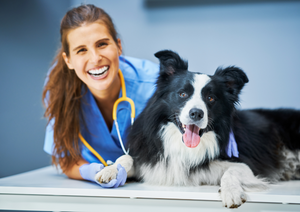 Measuring quality of life in dogs and cats with osteoarthritis