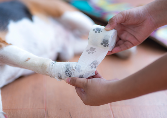 Wound Reconstruction: Tips, Tricks and Lots of Cases