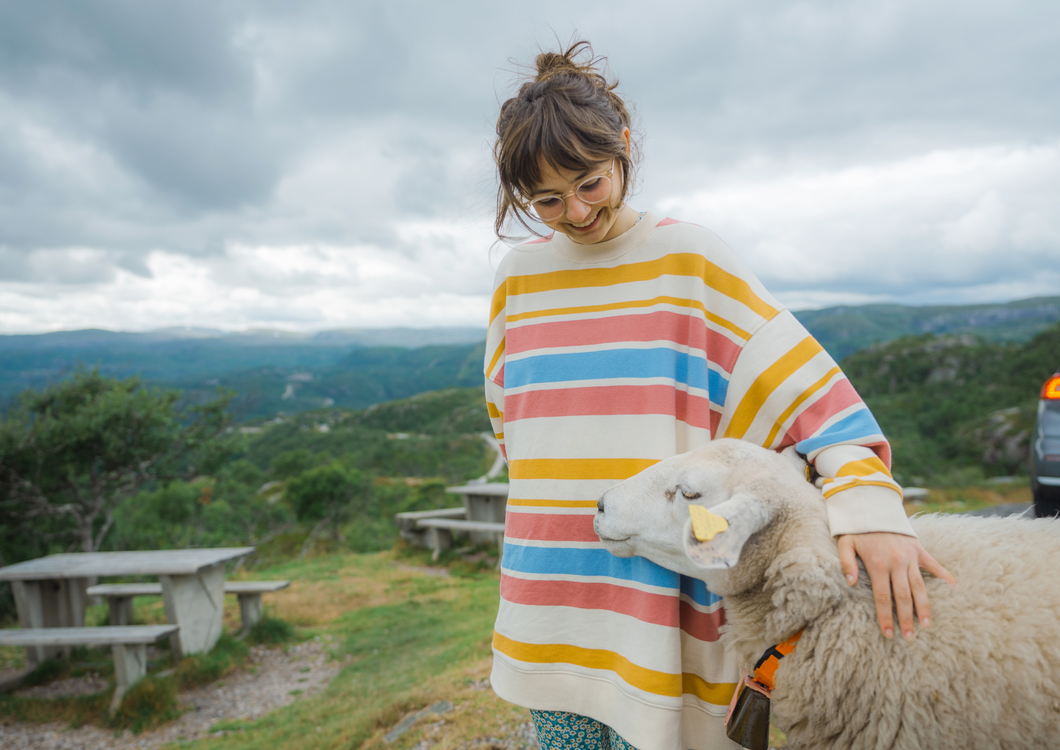 Pet Sheep with Confidence