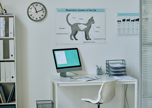 Startups to scale-ups: What progressive clinics are doing now and how inaction will cost you  (BVA Live 2025)